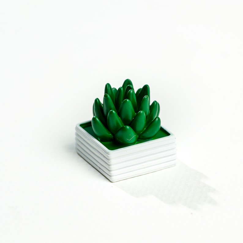 May include: A small green succulent plant in a white planter with a square shape. The planter is made of multiple layers.