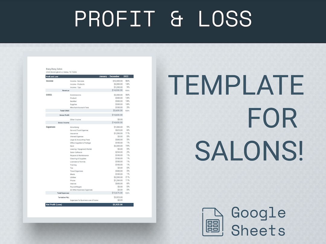 Profit and Loss Template Google Sheets for Salons Schedule C Profit