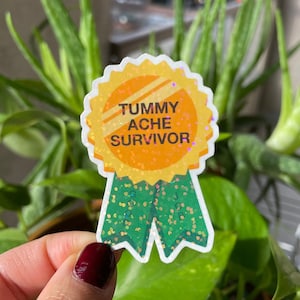 May include: A gold glitter sticker with a green glitter ribbon. The sticker says "Tummy Ache Survivor".