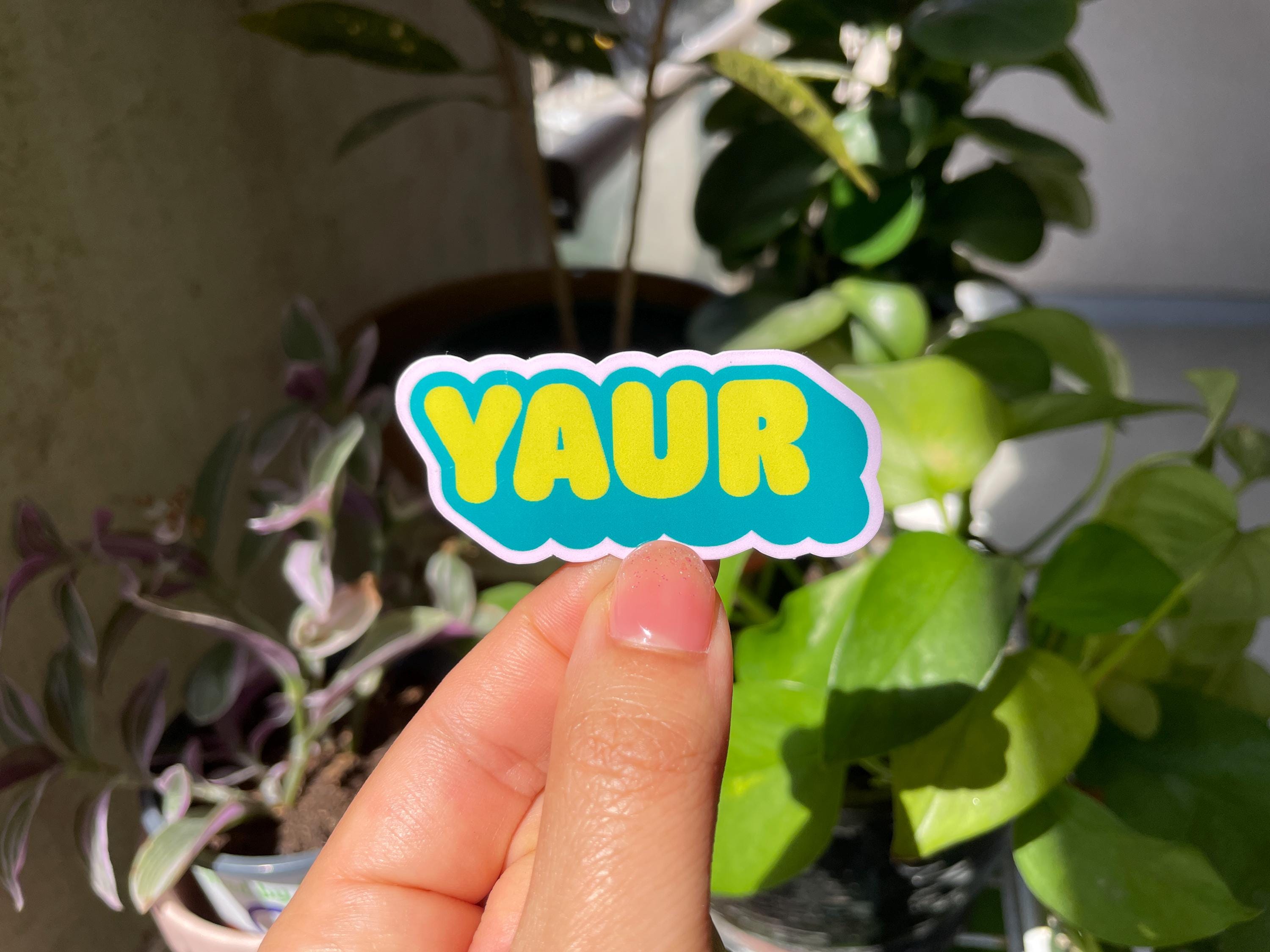 AUR NAUR Waterproof Vinyl Sticker / Funny Heavy Duty Die-cut Decal for ...