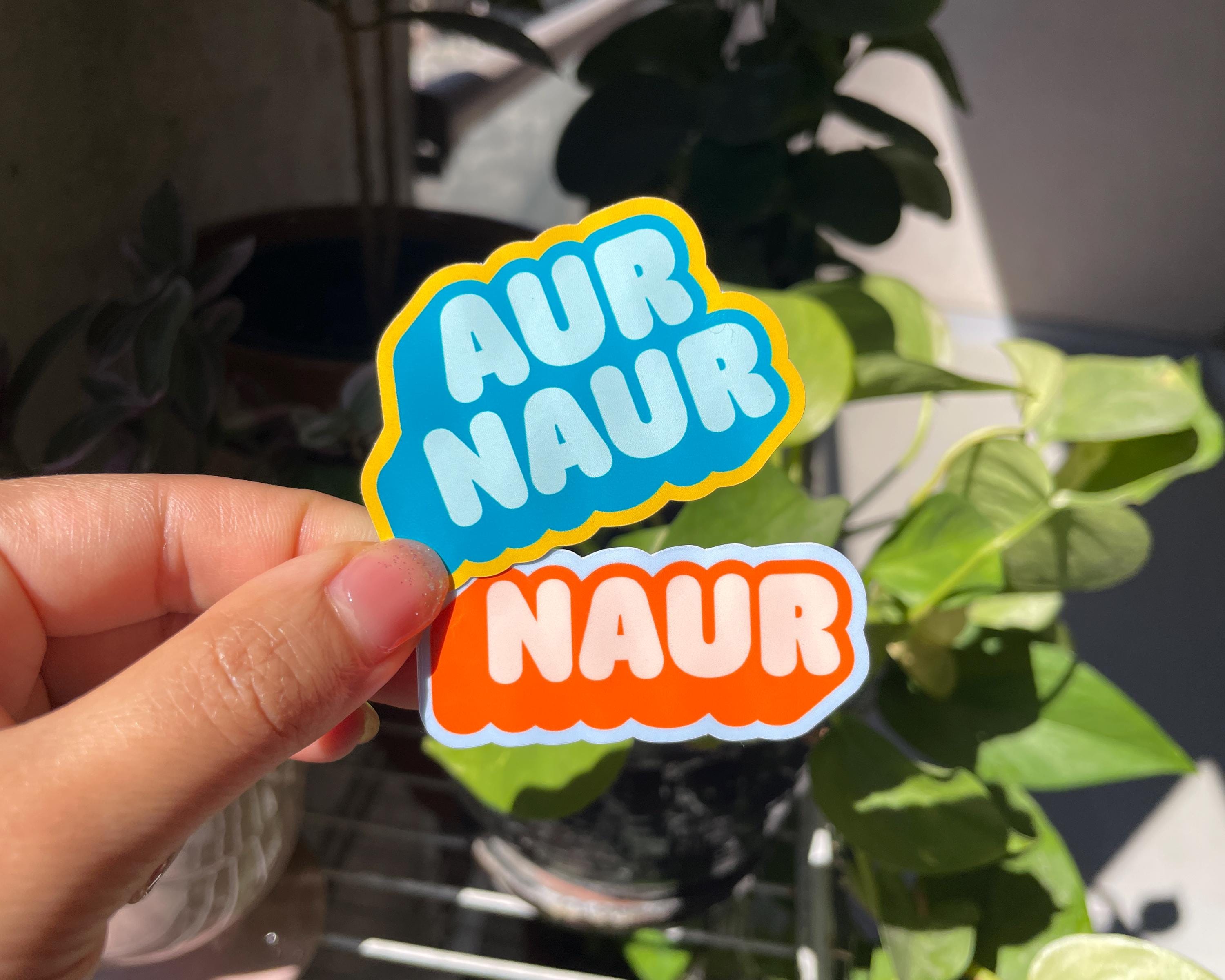 AUR NAUR Waterproof Vinyl Sticker / Funny Heavy Duty Die-cut Decal for ...