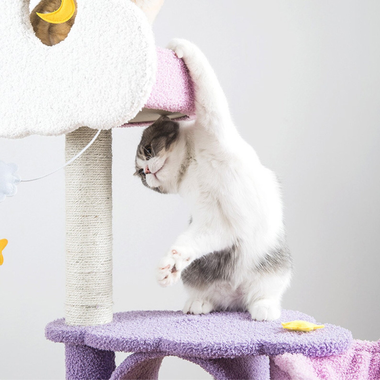 Nebula Cat Tree Purple Cat Tree Modern Luxury Cat Tree Etsy