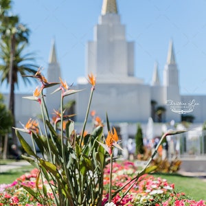 Oakland California Temple Digital Download