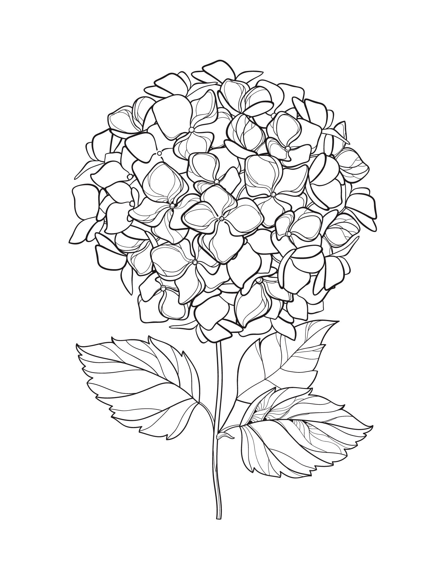 40 Spring Coloring Pages - Etsy