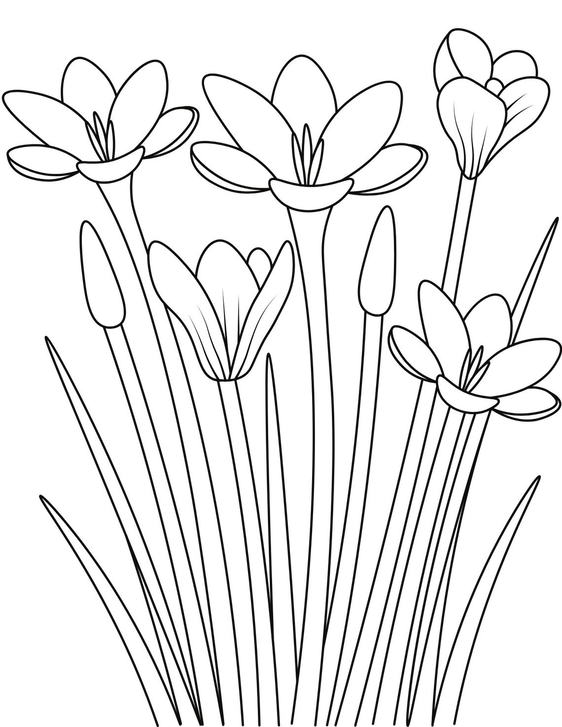 40 Spring Coloring Pages Instant Download Etsy
