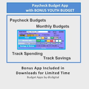 Paycheck Budget App: Colorful, Flexible, Easy Setup and Tracking (User Manual Included) Access Database App, Stores Data Offline
