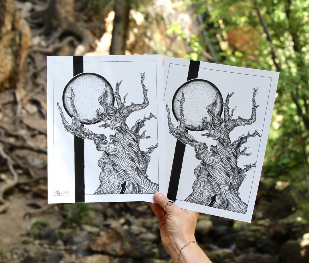 Bristlecone Pine Pen Wall Art 8x10" or 11x14" Giclee Print Black and ...