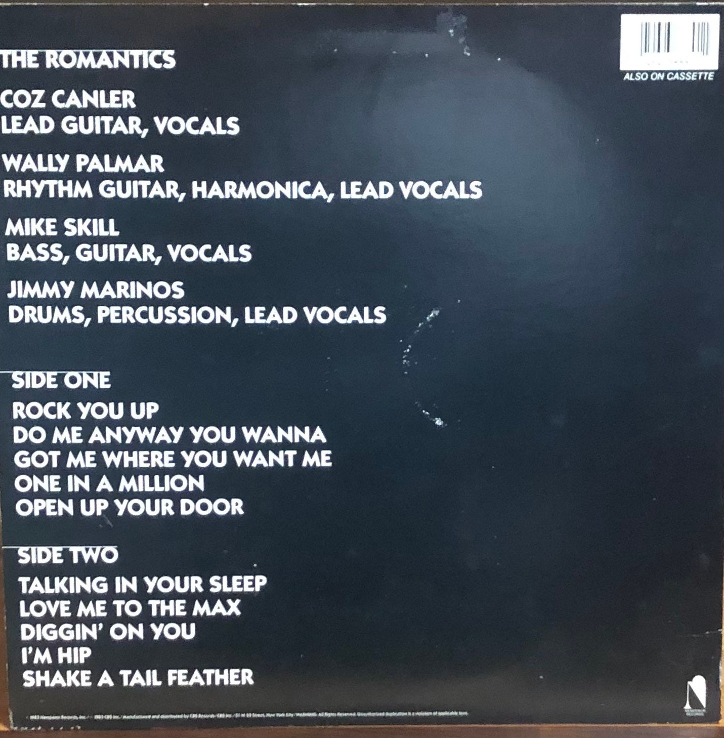 The Romantics: in Heat. Vinyl LP - Etsy