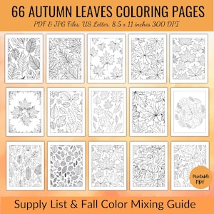Kleurplaten Herfstbladeren | Herfstkleurbundel | Materiaallijst, kleurenpaletstaal, stapsgewijze handleiding| Afdrukbare pdf- en jpg-bestanden