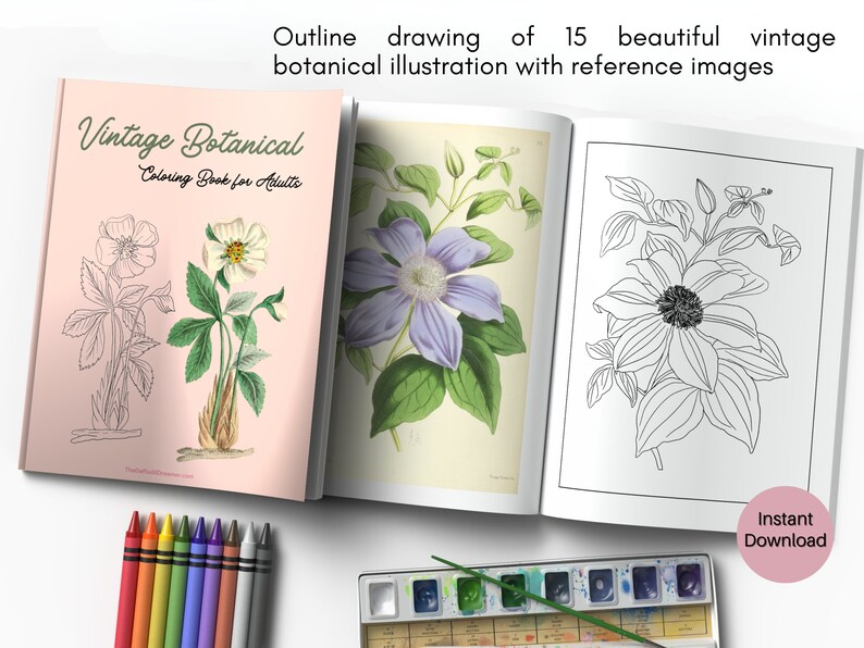 May include: A pink and white coloring book with the title "Vintage Botanical Coloring Book for Adults". The book is open to reveal a black and white outline drawing of a flower with a colored version of the flower on the opposite page. The book is on a white surface with colored pencils and a watercolor palette.