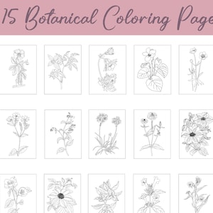 Libro da colorare rilassante per adulti, pagine da colorare botaniche vintage, libro da colorare con disegno a tratteggio di fiori