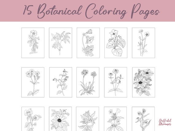 Relaxing Coloring Book for Adults, Vintage Botanical Coloring Pages, Flower Line Drawing Coloring Book