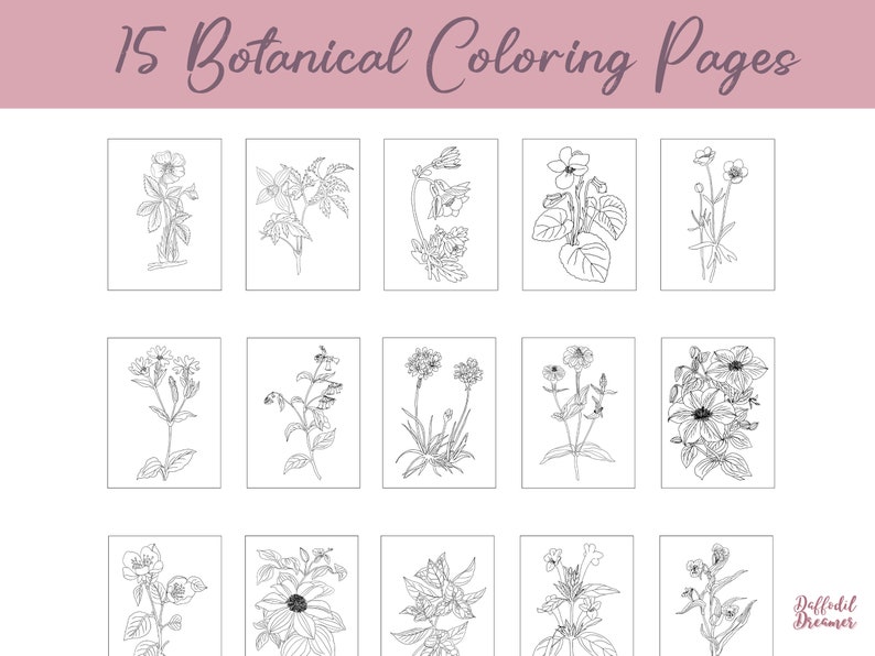 May include: 15 black and white botanical coloring pages featuring various flowers and plants. The title "15 Botanical Coloring Pages" is at the top of the image. The text "Daffodil Dreamer" is at the bottom right of the image.