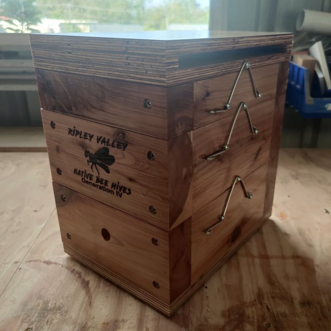 Australian Native Bee Hive Stingless Bee Hive Honey OATH Etsy Australia