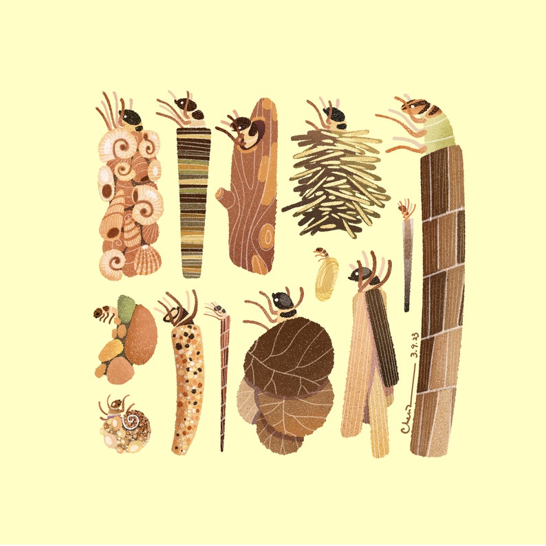 Casemaking Caddisfly Print Etsy