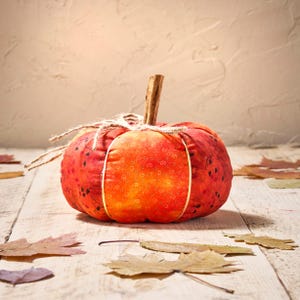 Peut inclure: Une citrouille d&eacute;corative en tissu aux tons rouges et oranges, avec une tige en b&acirc;ton de cannelle et des d&eacute;tails en ficelle. La citrouille est orn&eacute;e d'une bordure dor&eacute;e et repose sur une surface en bois avec des feuilles d'automne. D&eacute;coration d'automne.
