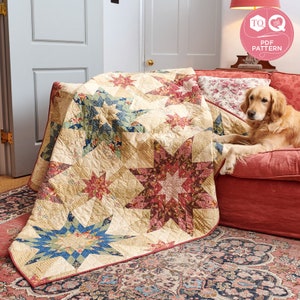 Kaleidoscopic Delight, Lone Star Quilt, Today’s Quilter magazine, Digital Quilting Pattern, Lynne Goldsworthy, Instant Download