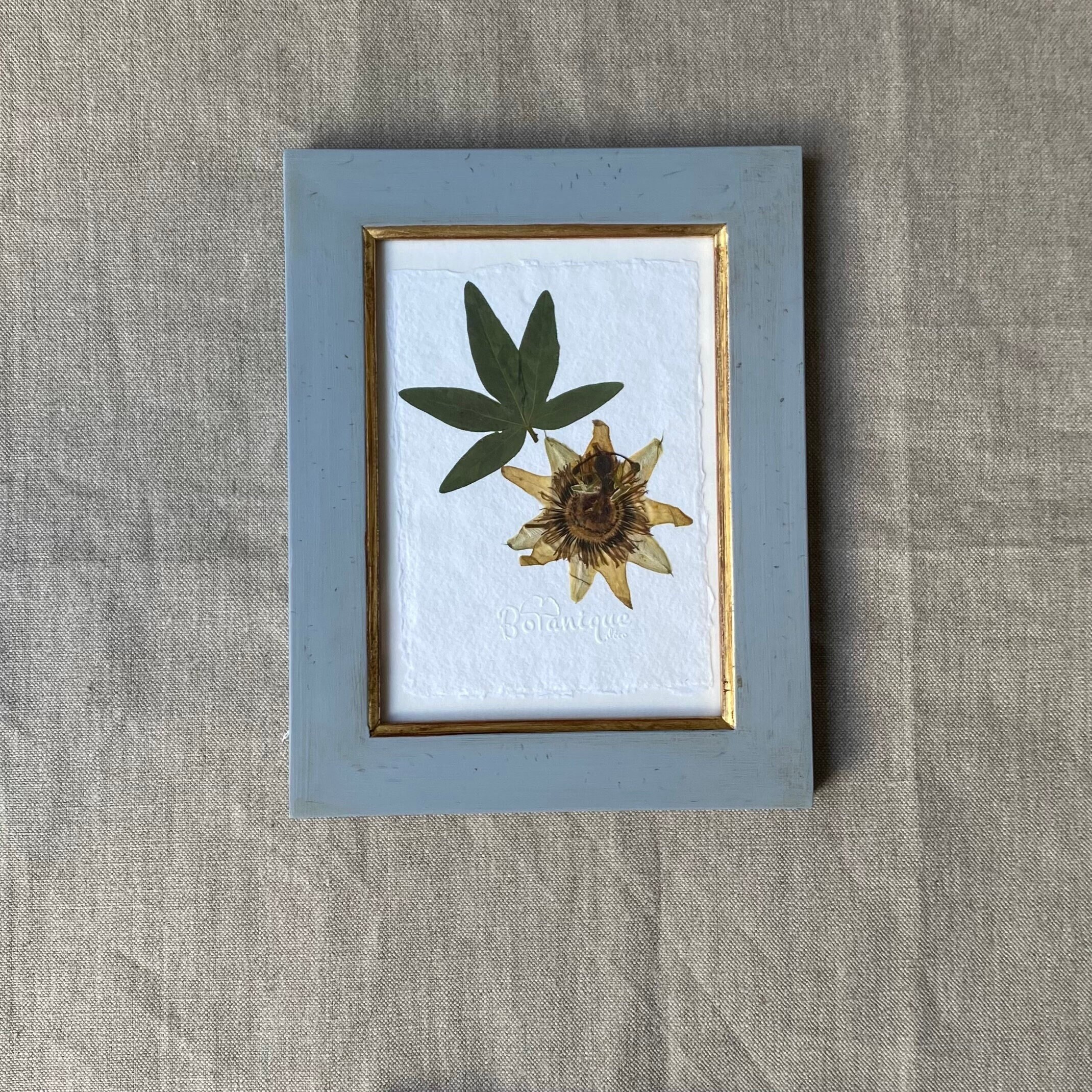 Planche Botanique d'herbier Encadré. Fleur Pressée Passiflora. Deco Murale Fleurs Séchées. Collectio