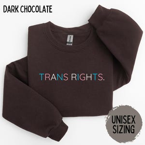 Transgender Shirt, Protect Trans, LGBTQ Shirt, Pride Month Sweatshirt, Nonbinary Shirt, Trans Ally Gift, Equality Shirt, Human Rights Tee