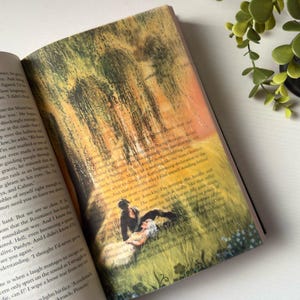 Könnte beinhalten: Offenes Buch mit einer detaillierten Illustration eines Paares auf einer Wiese, mit einem dunkelhaarigen Mann und einer Frau mit weißen Haaren. Die Buchseiten zeigen gedruckten Text und die Nummer 40.