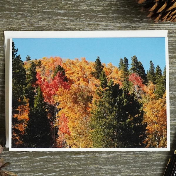 Colorado Autumn Aspen Leaves Greeting Card - Nature Photography - Fall Foliage - Blank Note Card - Mountain Landscape - Fall Season