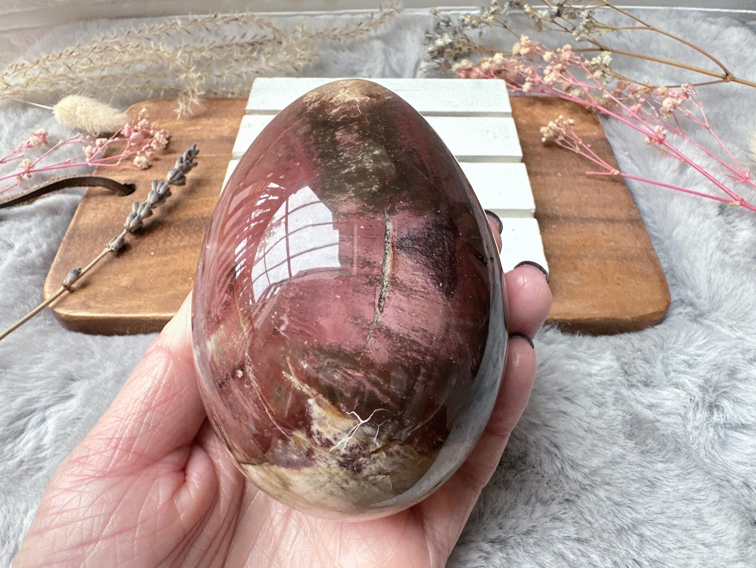 Petrified Wood Egg - Etsy