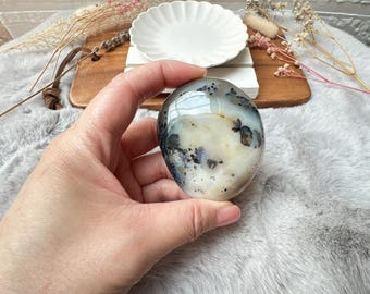 May include: An oval-shaped, polished stone with a cream and gray pattern, held in a hand. The stone has dark gray and black inclusions. The background includes a wooden tray, a white plate, and dried flowers.
