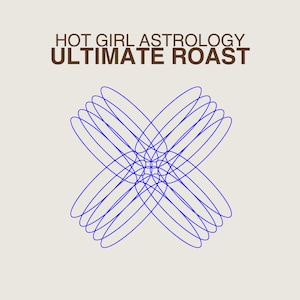 ULTIMATE ROAST Lectura de la carta natal de astrología, lectura de la carta natal, análisis de la carta natal, regalo personalizado de regalo de cumpleaños para su activo