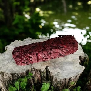 Bâton de Sauge Blanche & Sang de Dragon – Protection • Ancrage • Intention