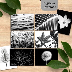 Tarjetas de contraste con motivos de la naturaleza para bebés, tarjetas de contraste sensoriales Montessori para recién nacidos - Descarga digital