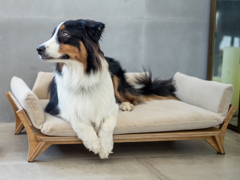 Oak Wood Elevated Dog Couch, Luxury Pet Bed