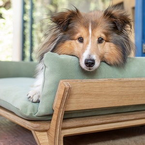 High-End Medium Dog Bed, Oak Wood Pet Bed with Beige Pillow, Luxury Raised Pet Sofa, Gift for Pet Lover