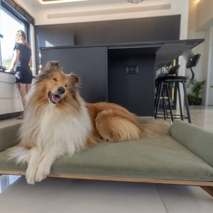 High-End Large Dog Bed, American Walnut Wood with Forest Green Pillow, Luxury Raised Pet Sofa, Pet Cot Gift for Pet Lovers, Nordic Pet Bed