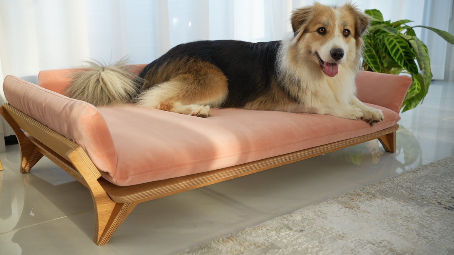 Curated visual reference: Visual Reference: Medium Size Oak Wood Pet Bed Raised Pet Furniture Elevated