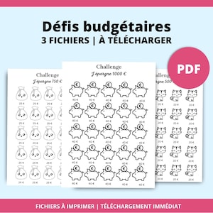 3 euro budget challenge sheets printable in French PDF A4 to download