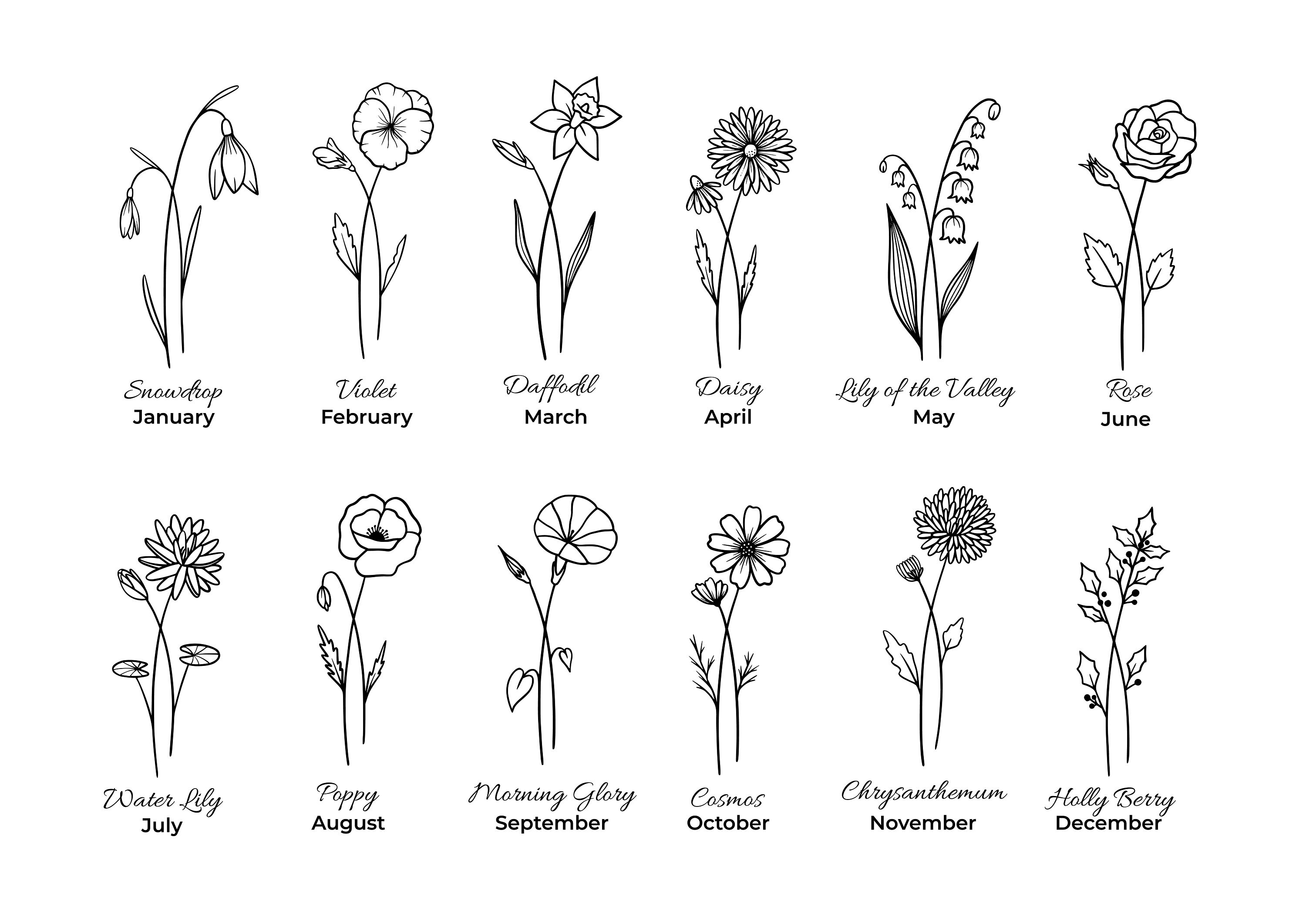Birth Month Flowers Svg, Birth Flowers Name Svg, Dxf, Png,
