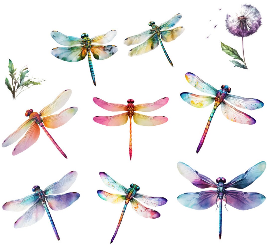 Watercolor Dragon Png, Watercolor Dragonfly Clipart, Instant Download