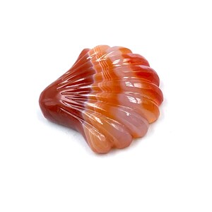 May include: A carved carnelian shell pendant with red, orange, and white banding. The shell is carved to resemble a scallop shell.