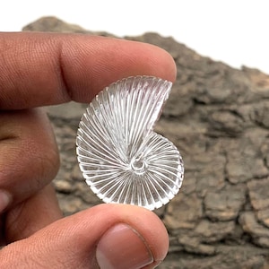 Carved Clear Quartz Sea Shell Gemstone: AAA+ Crystal (31x23x10mm)