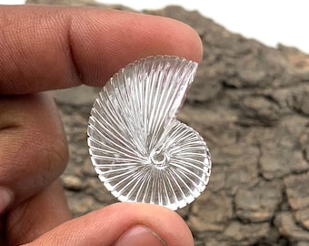 Puede incluir: Un amuleto de concha de nautilus de vidrio transparente con un diseño en espiral. La concha es lisa y pulida, con un patrón delicado e intrincado.