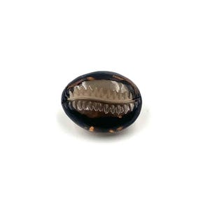 Smoky Quartz Sea Shell Carving: Hand Crafted Gemstone (13.7cts)