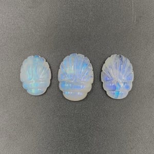 Rainbow Moonstone Scarab Carving: Gemstone Ring/Jewelry Making (19x14x5mm Available)