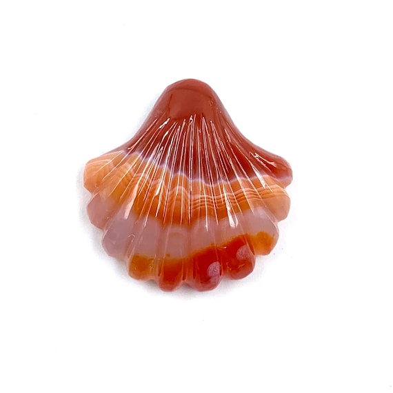 AAA Laguna Agate Carved Sea Shell: Jewelry Making (25*24*6mm)