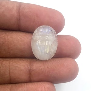 Natural Moonstone Scarab Carving: Gemstone Jewelry Making (19x15x8mm)