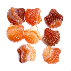 May include: Eight agate shell shaped carvings in shades of orange, red, and white. The carvings are smooth and polished.