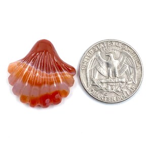 May include: A carved carnelian shell pendant in the shape of a scallop shell. The shell is a deep orange color with white stripes. The pendant is about the size of a US quarter.