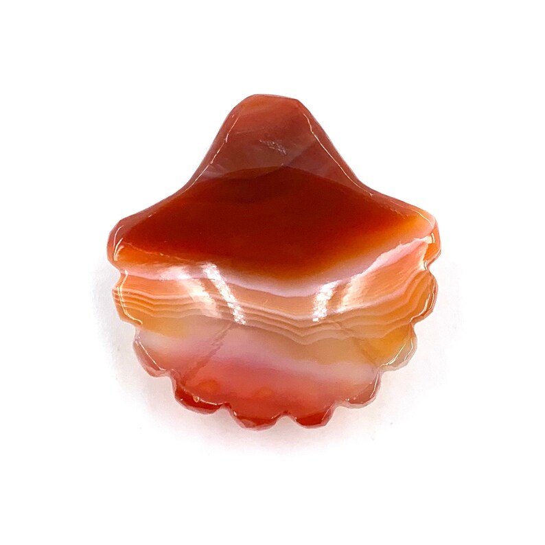 May include: A red, white, and orange agate stone carved into a scallop shell shape. The stone has a layered, banded pattern.