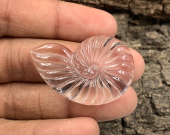 Puede incluir: Un cristal de cuarzo transparente tallado en forma de concha de nautilus. La concha tiene un patrón en espiral y es translúcida.