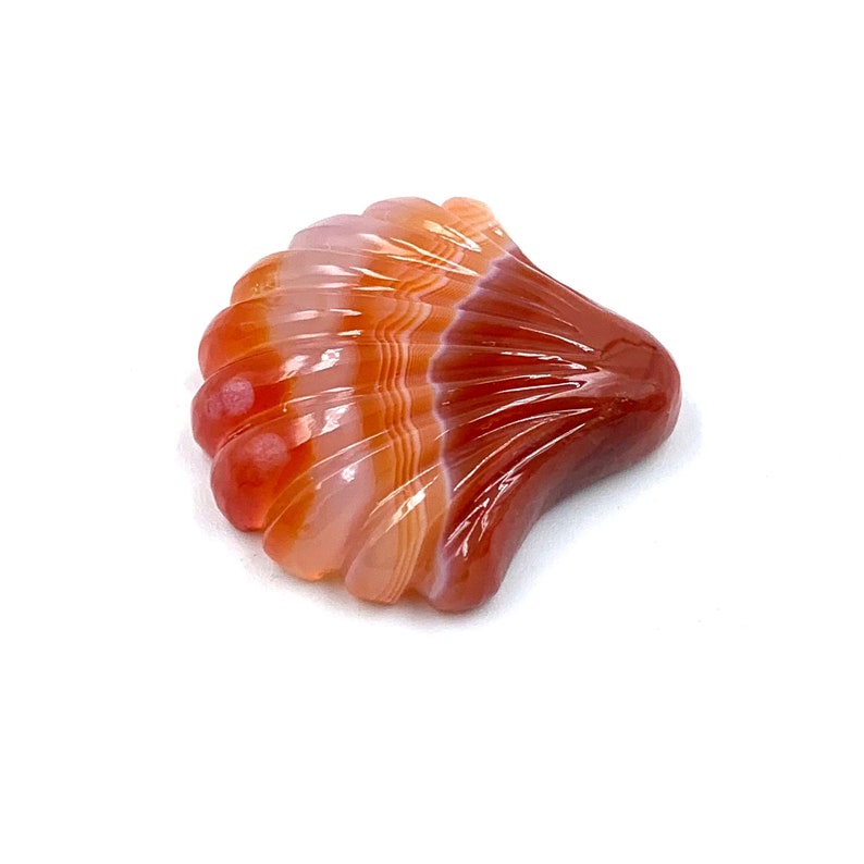 May include: A carved agate shell with red, orange, and white banding. The shell is polished and has a smooth, glossy finish.