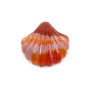 May include: A carved agate shell with a red, orange, and white banded pattern.
